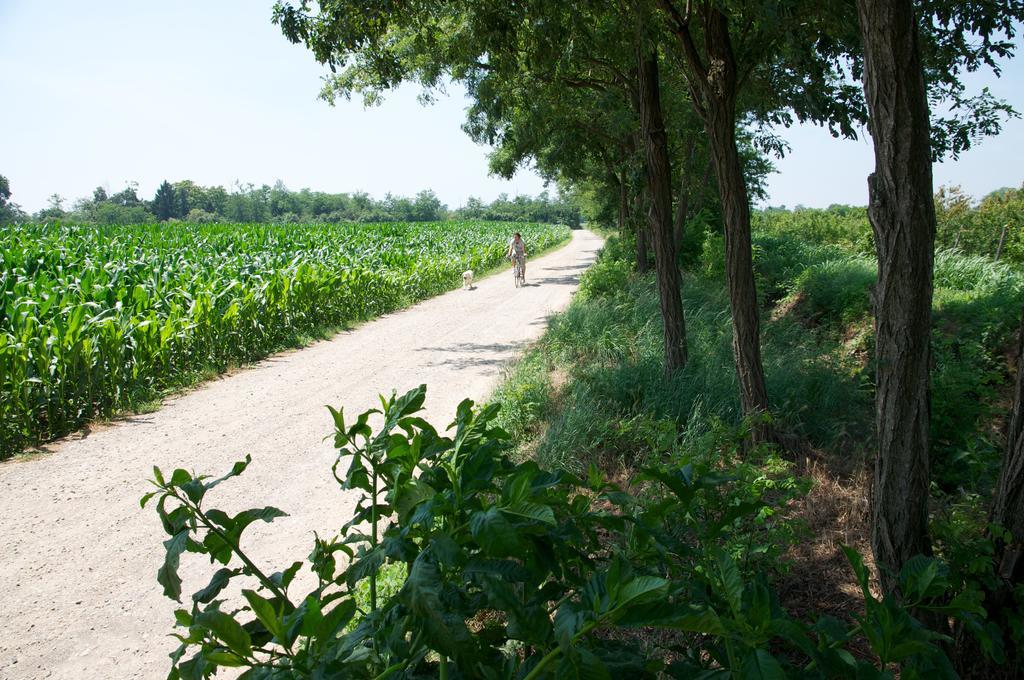 Cascina Delle Mele Bed & Breakfast Vittuone Ngoại thất bức ảnh